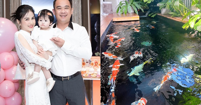 Biệt thự triệu đô của đôi vợ chồng TP.HCM có hồ cá Koi bao quanh, nhiều con cá đoạt giải trong các cuộc thi "sắc đẹp", có danh hiệu riêng