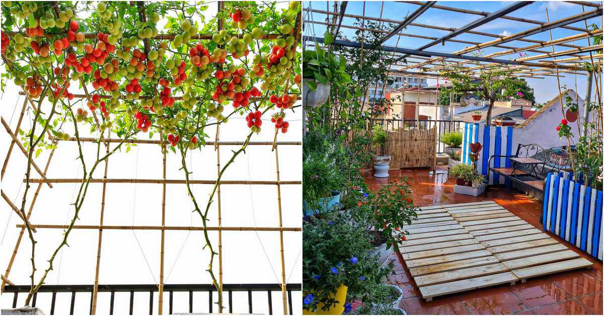 Cải tạo sân thượng 70m2 làm vườn, gia đình Hà Nội có góc sống ảo đẹp, rau ăn không xuể