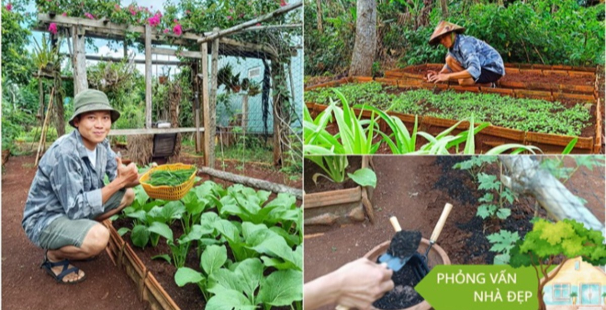 Nam công nhân tan ca tự trồng rau phục vụ bữa ăn hàng ngày, chia sẻ bí quyết mát tay nhờ khâu làm đất