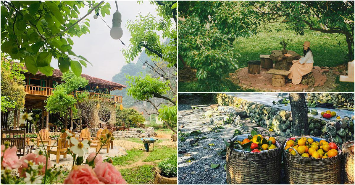 Mẹ đảm Hà Nội xây nhà đẹp như tranh giữa thung lũng Lạng Sơn, thu hoạch 2 tấn hồng mỗi mùa