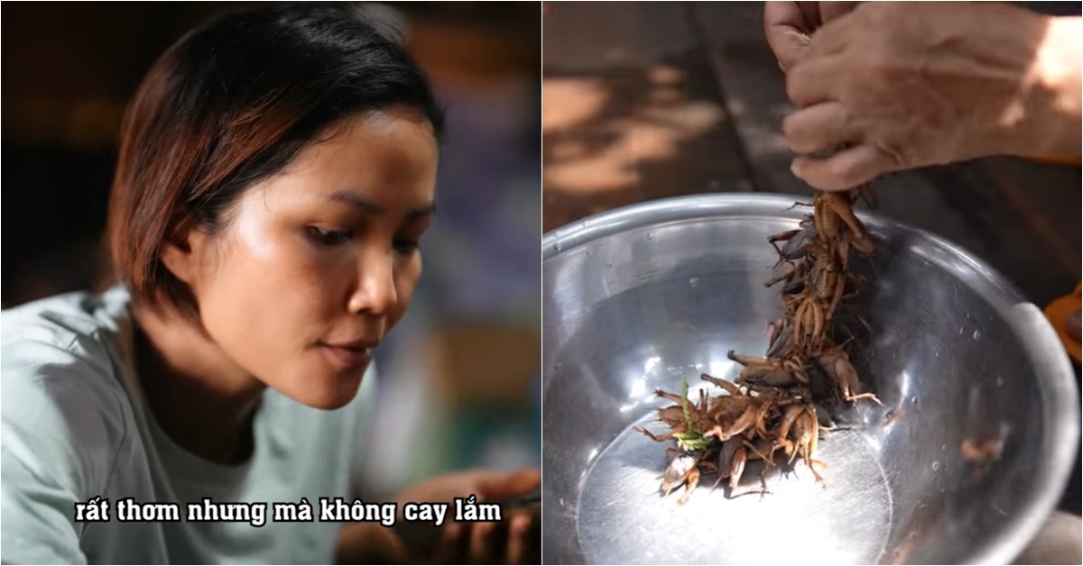 Hoa hậu chân chất nhất Việt Nam bắt côn trùng về làm món đặc sản, dân mạng bày tỏ thích thú