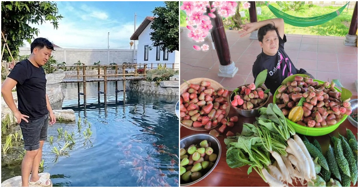 Biệt thự miệt vườn của Trường Giang: Hồ cá to tiền tỷ, trái cây xum xuê hái được cả đống