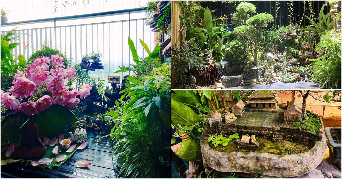 Mẹ đảm Hà Nội mang vườn cây thác nước lên ban công 3m2, biến căn hộ chung cư thành không gian siêu chill