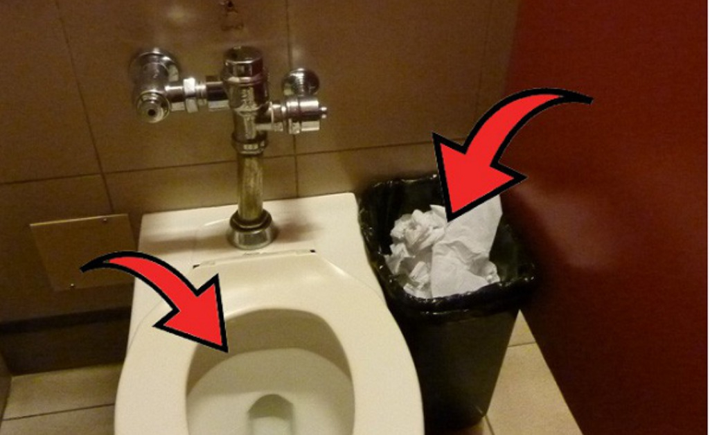 Nên vứt giấy vệ sinh vào bồn cầu hay thùng rác? Câu trả lời khiến nhiều vỡ òa