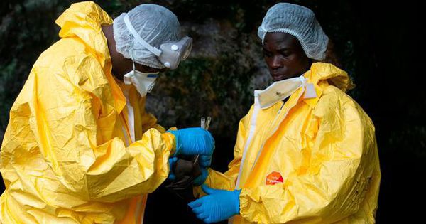 WHO cảnh báo về loại virus nguy hiểm cùng họ với Ebola, nguy cơ tử vong tới 90% và chưa có vaccine phòng ngừa