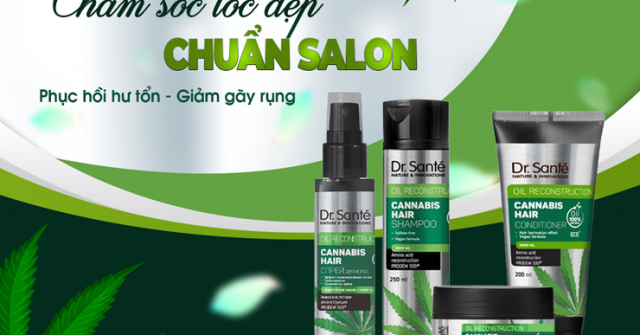 Chăm sóc và phục hồi tóc uốn nhuộm với bộ sản phẩm chiết xuất thiên nhiên Cannabis Hair