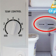 Trong tủ lạnh có 2 nút nhỏ, điều chỉnh hợp lý, tiết kiệm được rất nhiều tiền điện