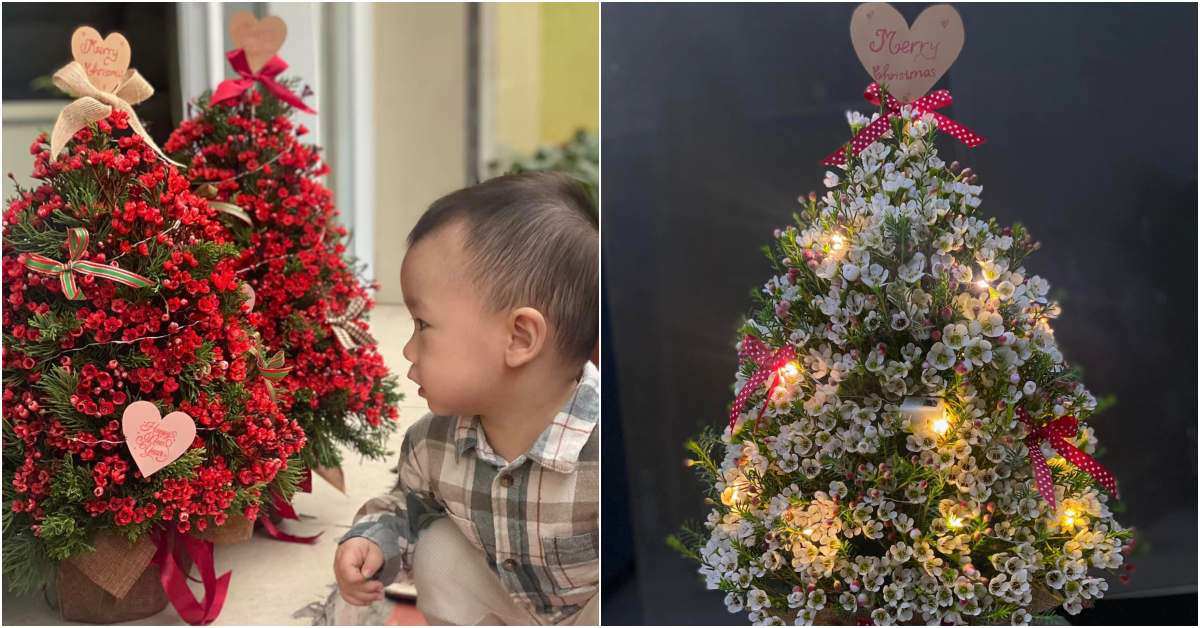 Độc lạ 9X Hải Phòng "hô biến" cây thông nở hoa đủ màu, cắm hàng trăm bình hoa thông dịp Giáng Sinh