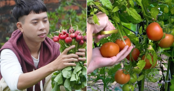 Thanh niên nhớ quay quắt vị cơm tấm, bún bò khi bỏ phố, tiết lộ 3 điều phải lường trước nếu chọn sống ở quê