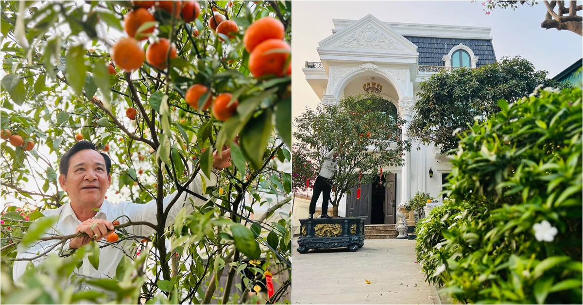 Danh hài Quang Tèo trồng cam canh sai trĩu trịt trong "biệt phủ" 1.000m2, ai đến cũng mời mà mãi chưa hết quả