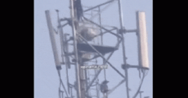 Cô gái tự ý trèo lên một tháp phát sóng di động cao 50m để bày tỏ tình yêu khiến nhiều người ngao ngán